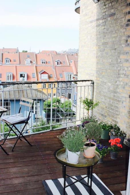 Lägenhet Cosy Og Spacious In The Heart Of Århus
